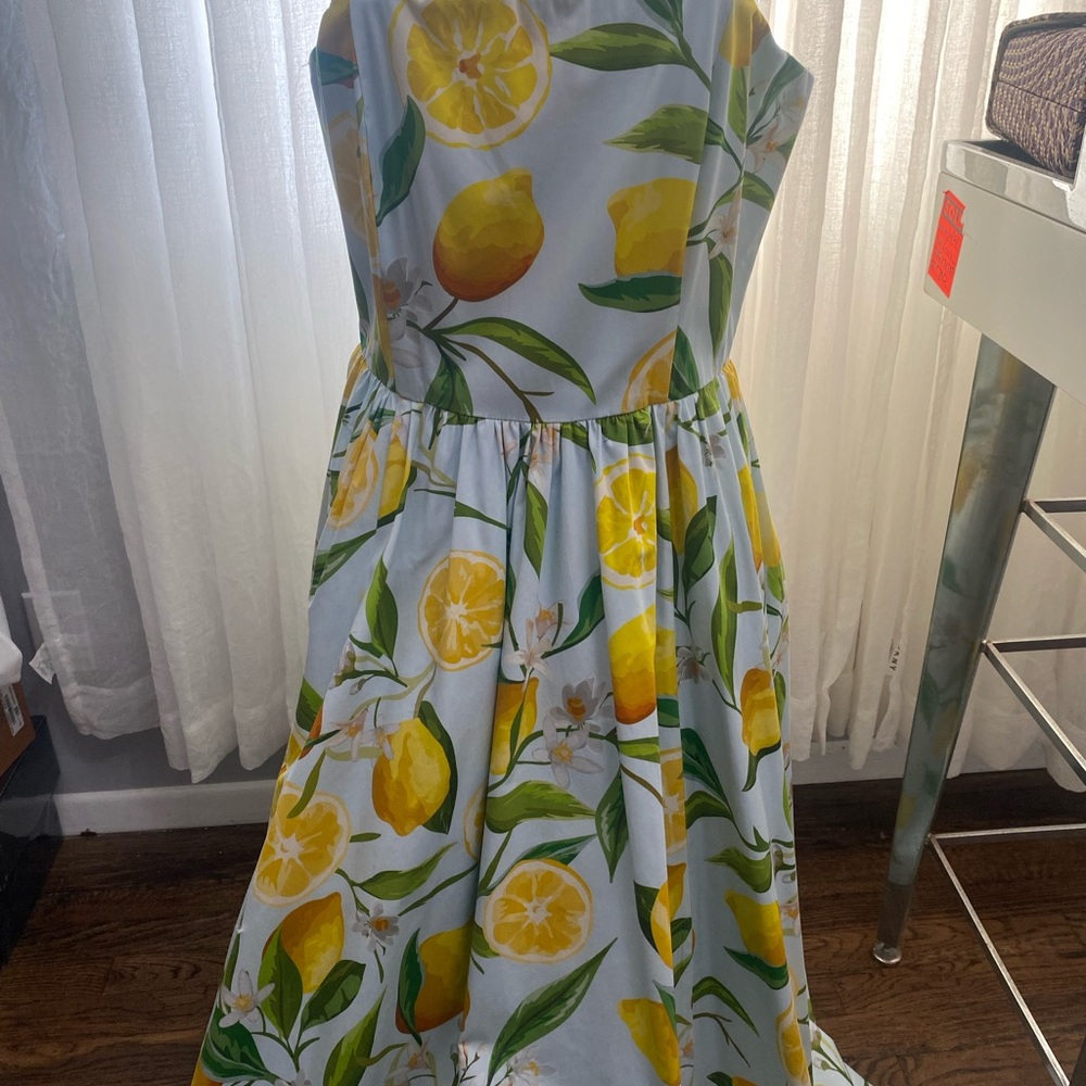 Mestiza Dress